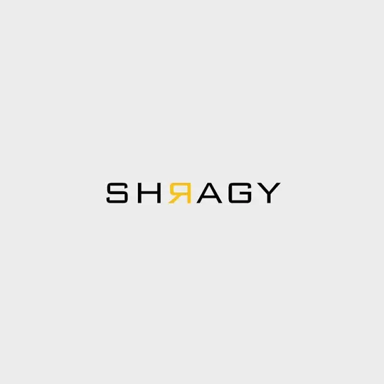 Logo · Shragy Leitner by Croma Design